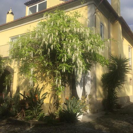 Casa Magnólia Vila Braga Exterior foto