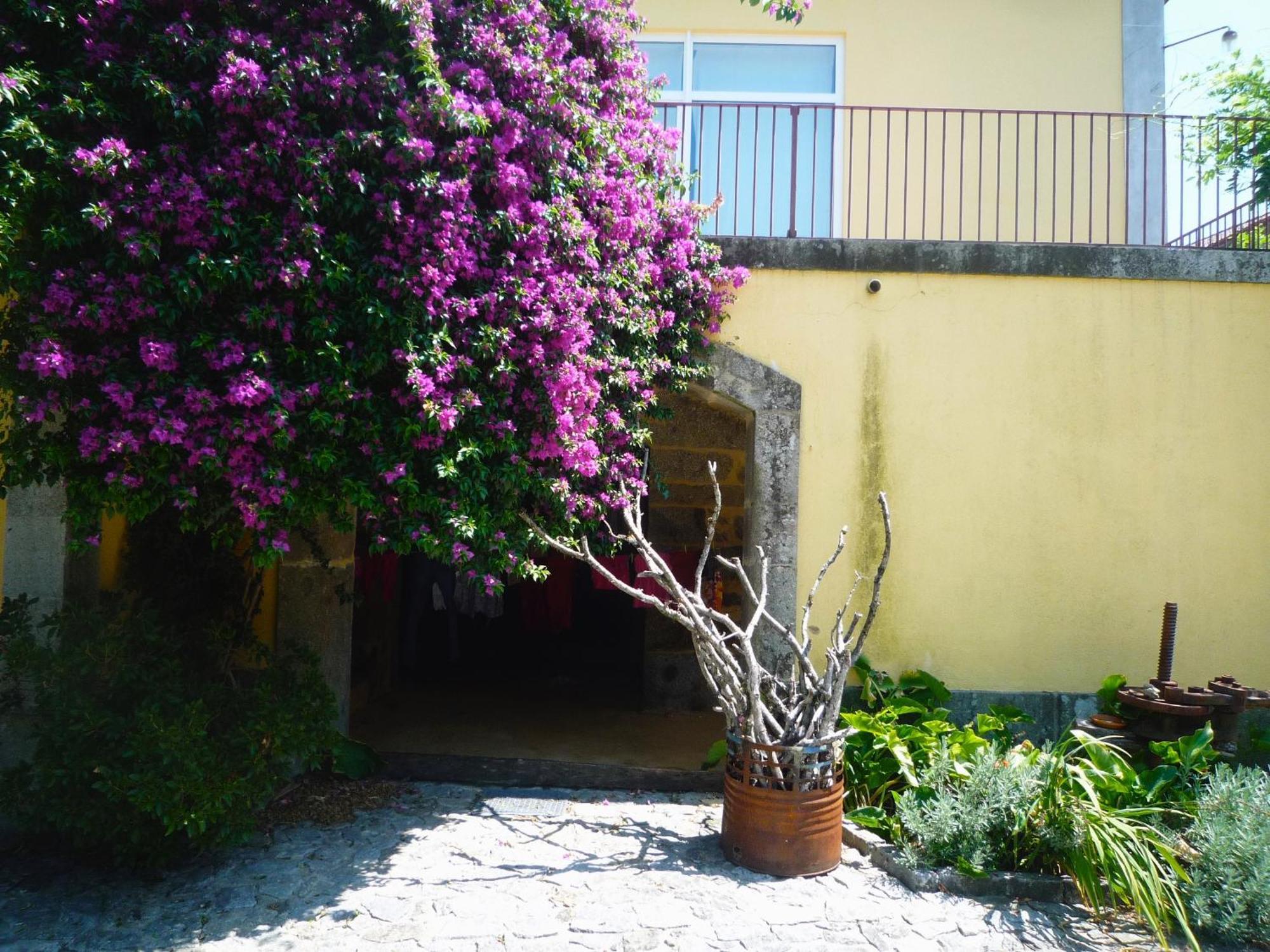 Casa Magnólia Vila Braga Exterior foto